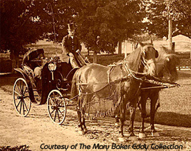 Daily carriage ride