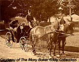 Daily carriage ride