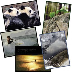 Photo gift cards from the Monitor with pandas person surfing and various nature views